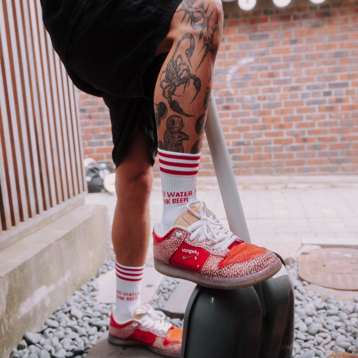SAVE WATER DRINK BEER RED - WHITE SOCKS
